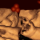 Ultrasound of fetus (Image: Kirsty Dunn & Vincent Reid)